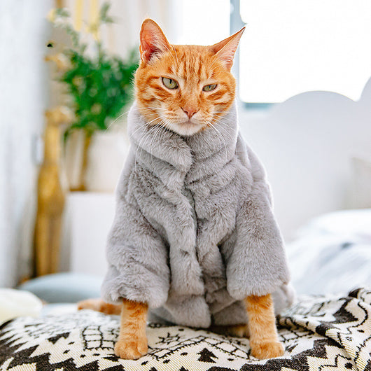 Ropa Térmica para Gatos sin Pelo - Abrigo Grueso y Suave para Otoño e Invierno - Image 8