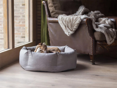 Cama Ortopédica para Perros - Image 7