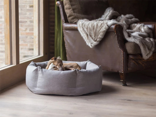 Cama Ortopédica para Perros - Image 7