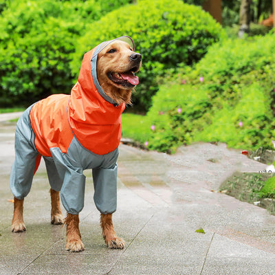 Impermeable de Cuatro Patas para Perros - Image 8