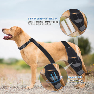 Rodillera Protectora para Perros - Soporte Ortopédico Post-Quirúrgico - Image 10