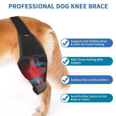 Rodillera Protectora para Perros - Soporte Ortopédico Post-Quirúrgico - Image 11