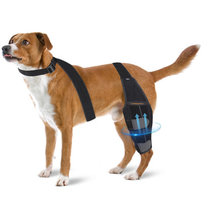 Rodillera Protectora para Perros - Soporte Ortopédico Post-Quirúrgico - Image 13
