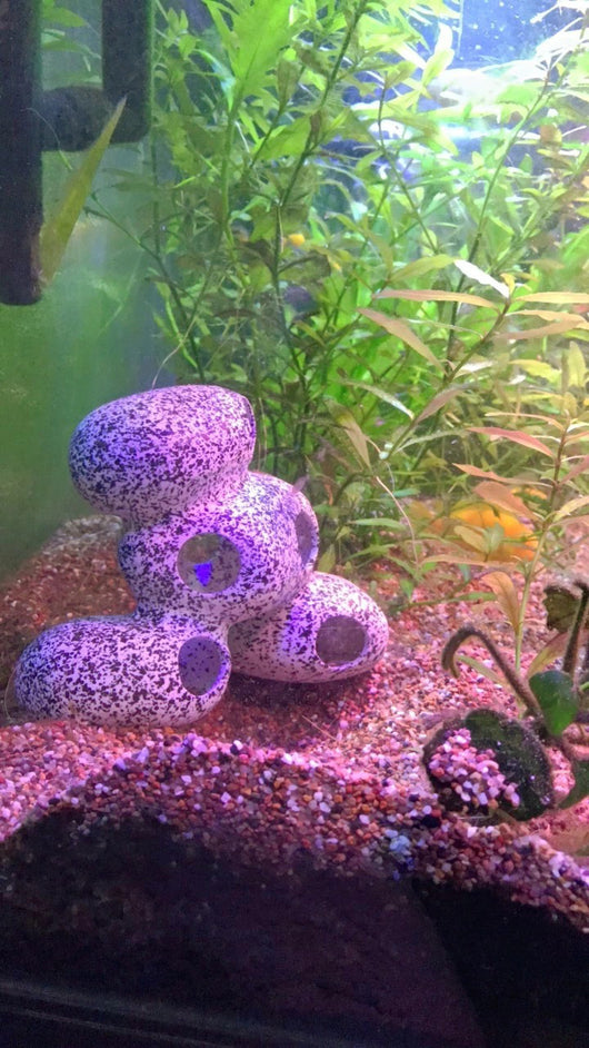 Casa de Piedra Natural para Peces y Camarones - Decoración y Refugio Acuático - Image 18