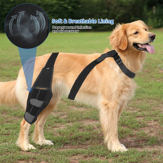 Rodillera Protectora para Perros - Soporte Ortopédico Post-Quirúrgico - Image 20