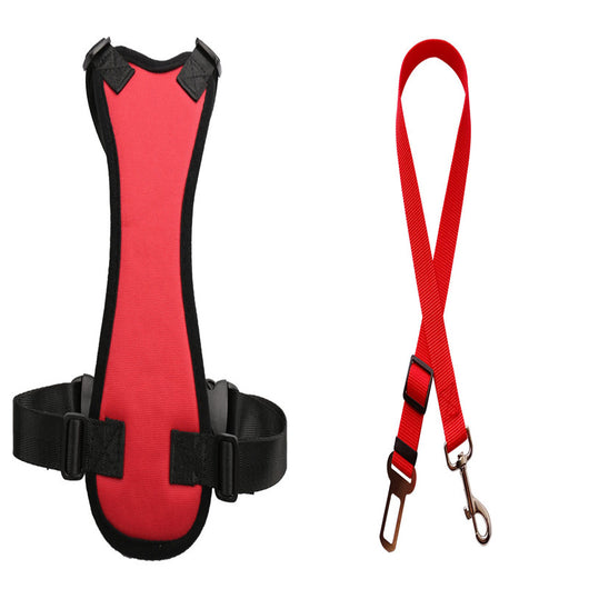 Cinturones de Seguridad para Mascotas en Auto - Image 10