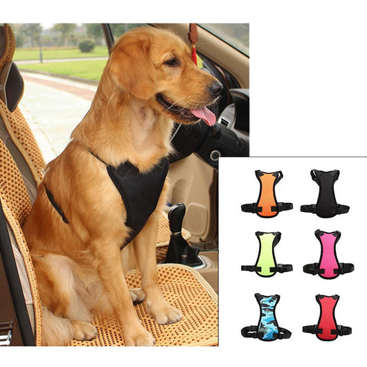 Cinturones de Seguridad para Mascotas en Auto - Image 13