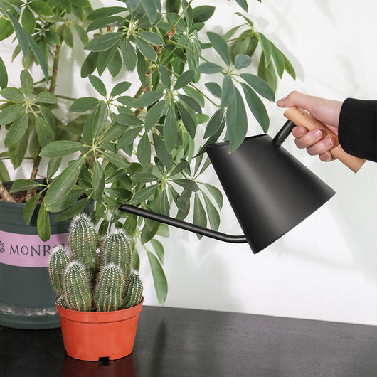 Regadera de Acero Inoxidable para Jardinería - Image 9