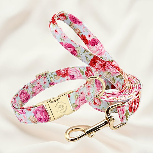 Collar Personalizado para Perro con Placa de Identificación - Image 29