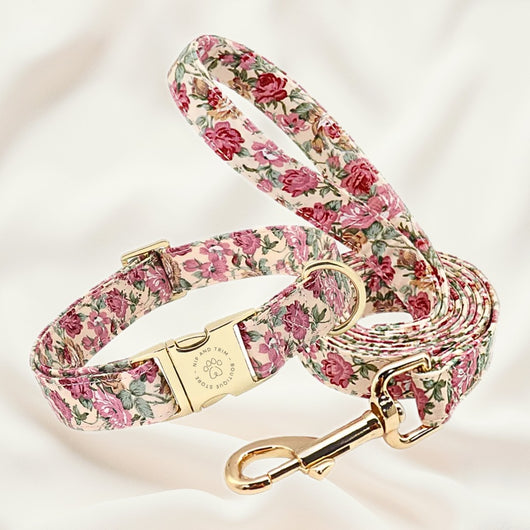 Collar Personalizado para Perro con Placa de Identificación - Image 30