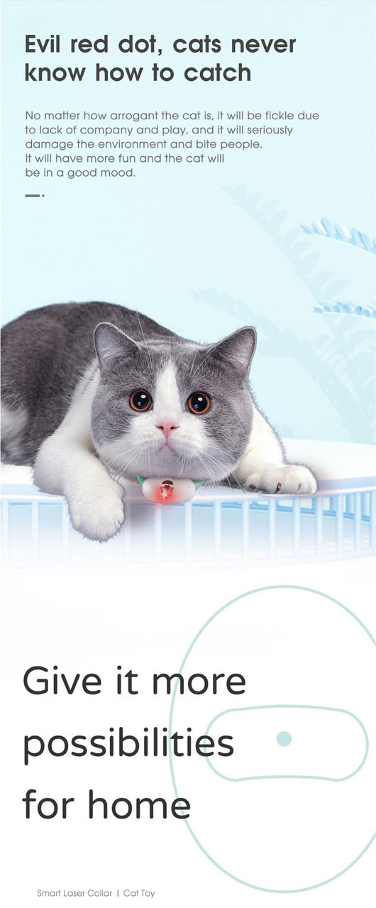 Collar Láser Interactivo Automático para Gatos con Carga USB - Image 15