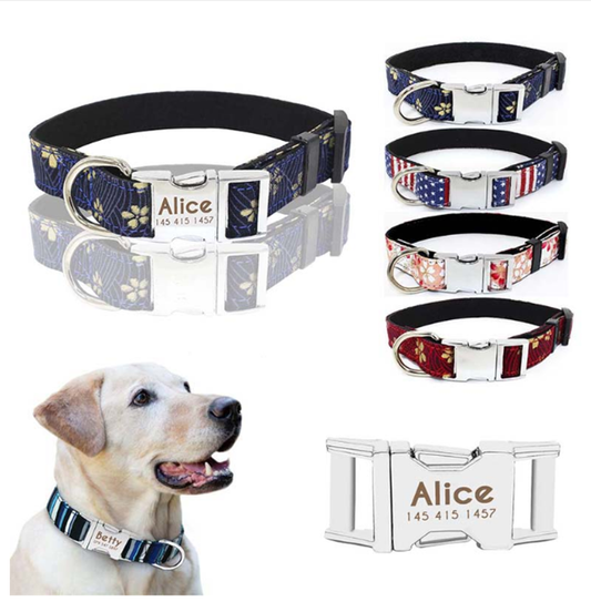 Collar Ajustable con Cierre Rápido de Metal para Perros Pequeños y Medianos
