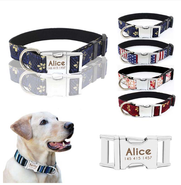 Collar Ajustable con Cierre Rápido de Metal para Perros Pequeños y Medianos