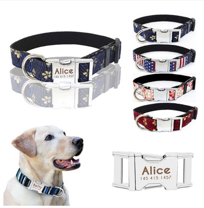 Collar Ajustable con Cierre Rápido de Metal para Perros Pequeños y Medianos