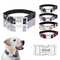 Collar Ajustable con Cierre Rápido de Metal para Perros Pequeños y Medianos