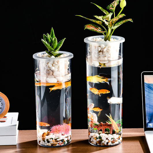 Maceta Ecológica de Escritorio con Paisaje Miniatura y Pecera Transparente