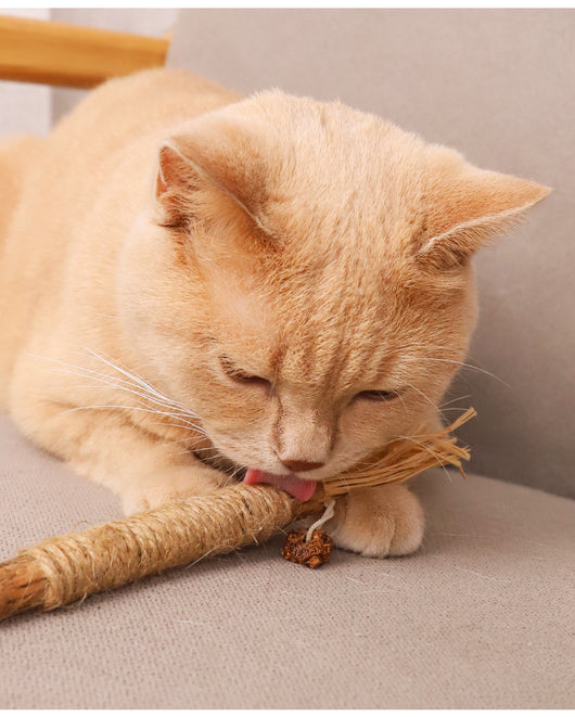 14cm natural wooden cat chew toy wrapped with cotton rope and raffia ends, designed for tooth cleaning. - Image 17