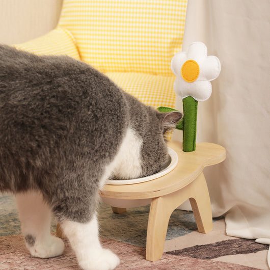 Comedero Elevado para Gatos con Borde Inclinado y Soporte Alto - Image 9