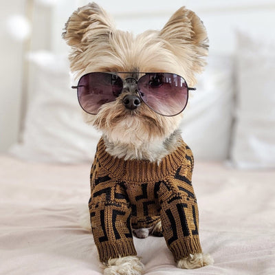 Suéter Casual para Perros Medianos y Grandes - Diseño Marrón con Letras - Image 9