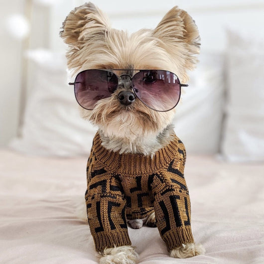 Suéter Casual para Perros Medianos y Grandes - Diseño Marrón con Letras - Image 9