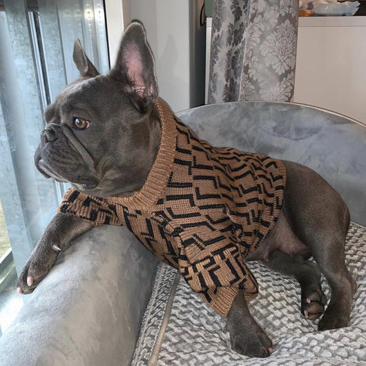 Suéter Casual para Perros Medianos y Grandes - Diseño Marrón con Letras - Image 10