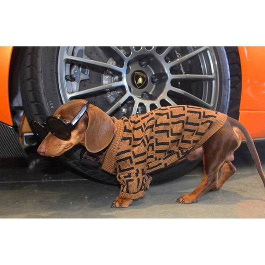 Suéter Casual para Perros Medianos y Grandes - Diseño Marrón con Letras - Image 12