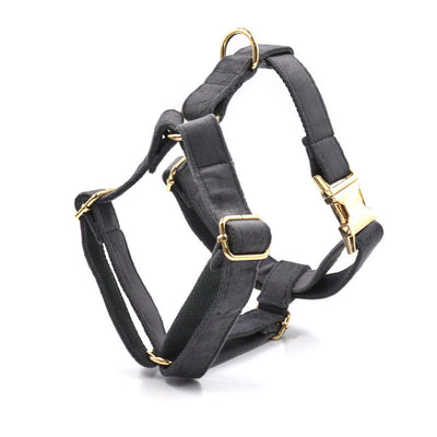 Collar y Correa para Mascotas en Terciopelo Gris Oscuro - Image 24