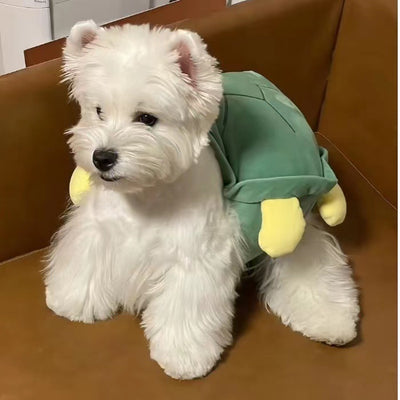 Ropa de Caparazón para Perros - Diseño Viral de Tortuga - Image 4