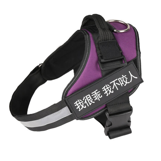 Arnés de Paseo Simple para Mascotas con Correa Ajustable - Image 30
