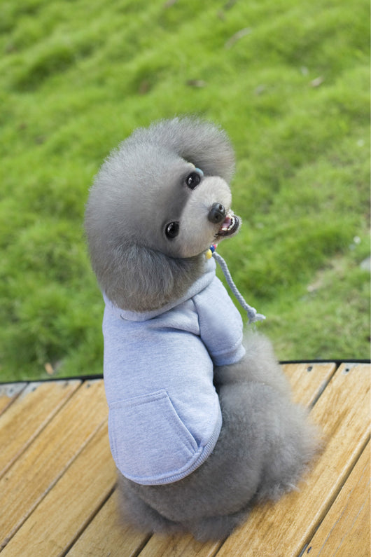 Abrigo y Gorro para Mascotas - Sudadera Cálida para Otoño e Invierno - Image 20