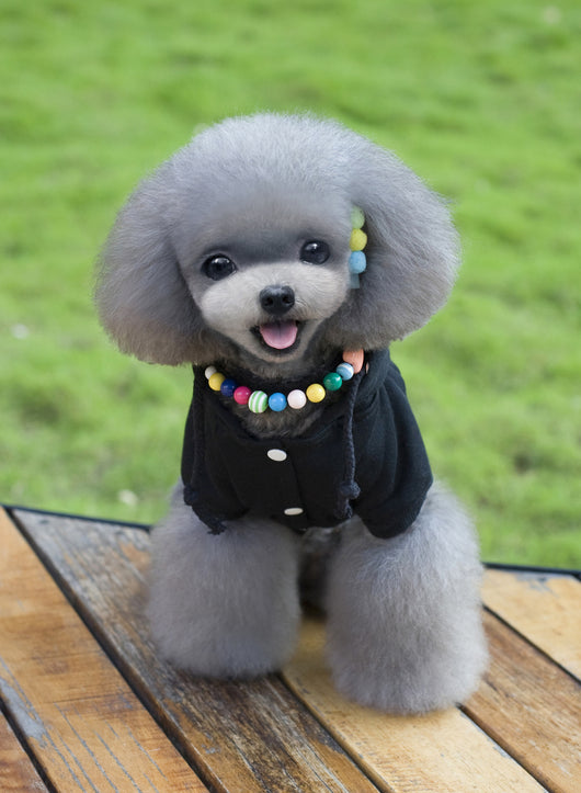 Abrigo y Gorro para Mascotas - Sudadera Cálida para Otoño e Invierno - Image 21