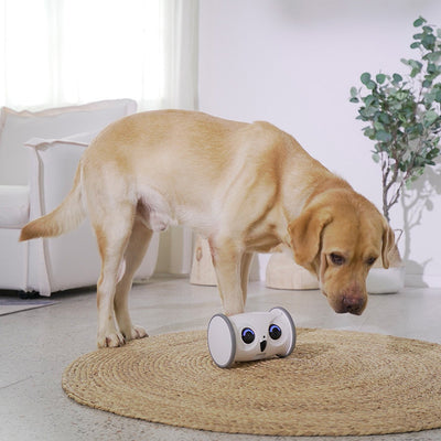Juguete Eléctrico para Perros con Forma de Búho y Dispensador de Premios - Image 19