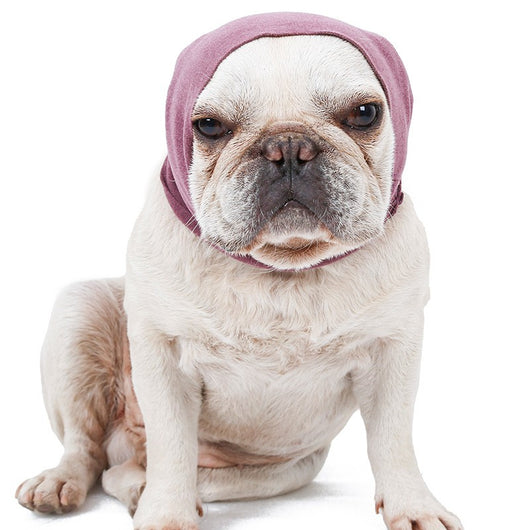 Gorro Térmico Descompresivo para Orejas de Mascotas - Image 11