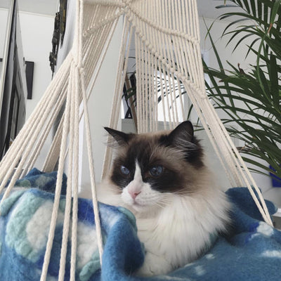 Columpio Macramé Artesanal para Mascotas - Disponible en Cuatro Estaciones - Image 8