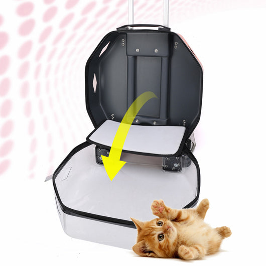 Mochila Transparente de Gran Capacidad con Ventilación para Mascotas - Image 16