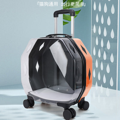 Mochila Transparente de Gran Capacidad con Ventilación para Mascotas - Image 25