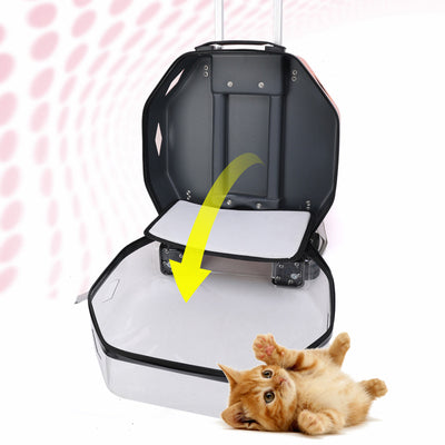 Mochila Transparente de Gran Capacidad con Ventilación para Mascotas - Image 26