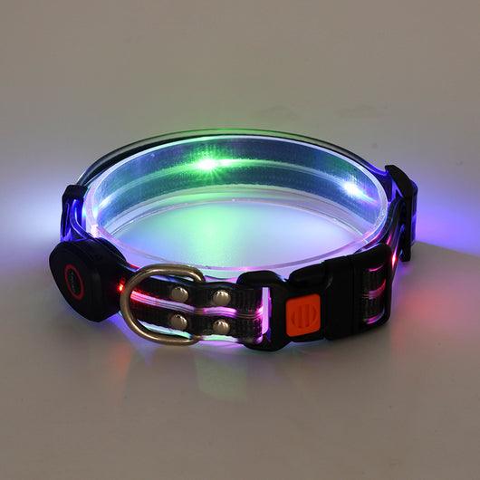 Collar LED Recargable para Mascotas con Correa de Seguridad - Image 12