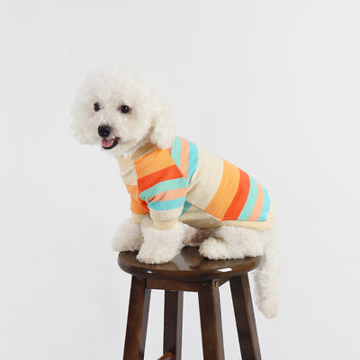 Ropa Colorida a Rayas para Perros - Image 12