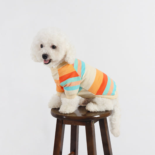 Ropa Colorida a Rayas para Perros - Image 12