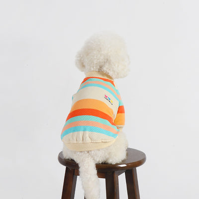 Ropa Colorida a Rayas para Perros - Image 13