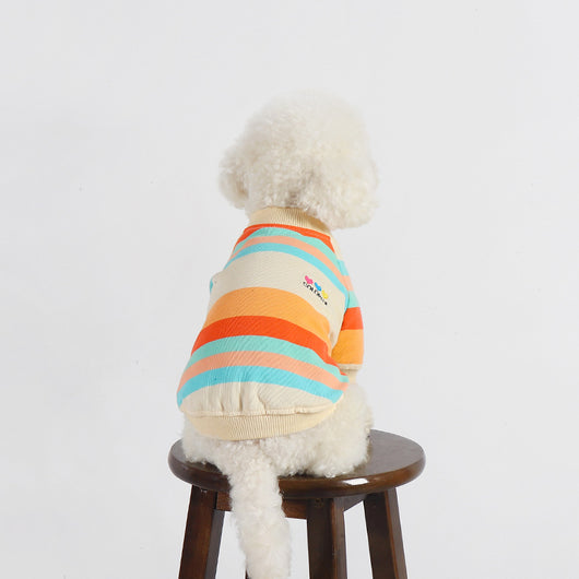 Ropa Colorida a Rayas para Perros - Image 13