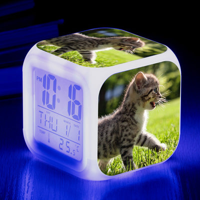 Reloj Despertador Cuadrado Multicolor para Gatos - Image 25