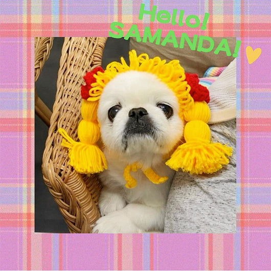 Gorro Trenzado para Mascotas - Diseño Adorable Primavera Otoño - Image 15