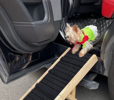 Rampa Escalera Plegable para Perros - Ajustable, Portátil y Antideslizante - Image 11