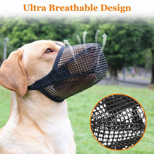 Protector Bucal Fashionable para Perros - Image 12