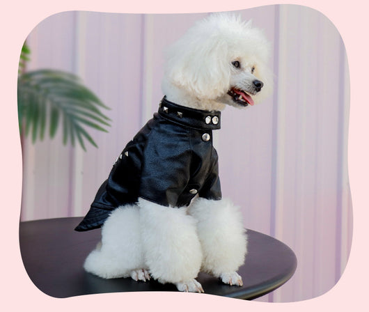 Abrigo de Cuero para Mascotas - Ropa de Moda Coreana para Perros y Gatos - Image 16