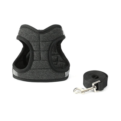 Correa de Paseo para Perros de Moda - Image 12