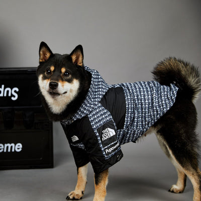 Impermeable para Perros Resistente al Viento y la Lluvia - Image 14