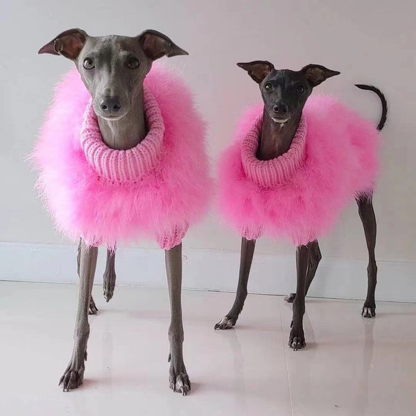 Suéter de Otoño e Invierno para Mascotas Jarre Aero Bull VIP